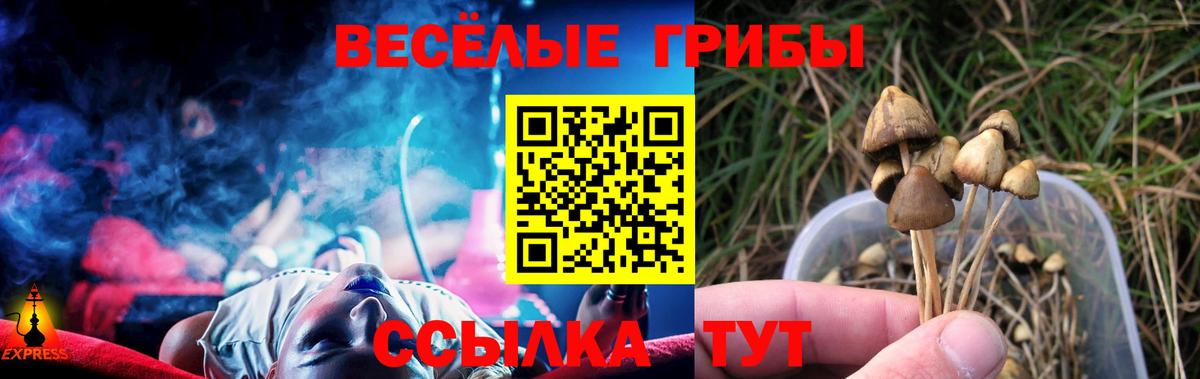 Псилоцибиновые грибы мухоморы  Вход с VPN  Горно-Алтайск 